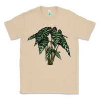 Mushroom Amazon Elephant Ear Classic Tee - LillyAllenDesigns