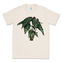Natural Amazon Elephant Ear Classic Tee - LillyAllenDesigns