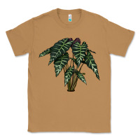 Toasted Coconut Amazon Elephant Ear Classic Tee - LillyAllenDesigns