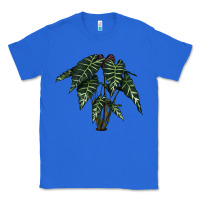 True Royal Amazon Elephant Ear Classic Tee - LillyAllenDesigns