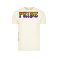 Vintage Arctic pride lgbtq glitter Vintage Tee - Artiststas