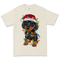 Bone dachshund puppy christmas lights Premium Tee - RanaPortraitStore