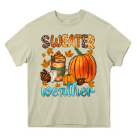 Bonfires Flannels S'mores Campfires And Pumpkins Heavy Core Tee | Teevron