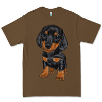 Cacao dachshund puppy Premium Tee - RanaPortraitStore