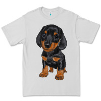 Dove Grey dachshund puppy Premium Tee - RanaPortraitStore
