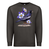 Smoke Colorado Lark Mountain Bunting Bird Premium Sweatshirt - Bettercallsaul