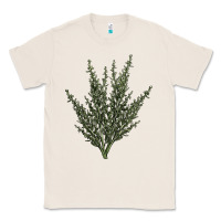 Natural Botanical Sagebrush Illustrations Classic Tee - LillyAllenDesigns