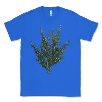 True Royal Botanical Sagebrush Illustrations Classic Tee - LillyAllenDesigns