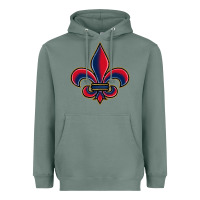 Sage louisiana fleur de lis Heavyweight Hoodie - BarkalooDesign