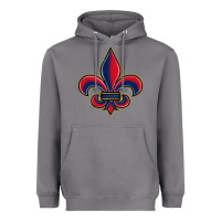 Storm louisiana fleur de lis Heavyweight Hoodie - BarkalooDesign