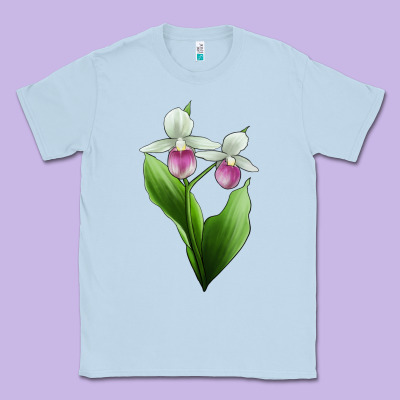 Pink And White Lady's Slipper Flower Illustrations Classic Tee Designed By Lillyallendesigns