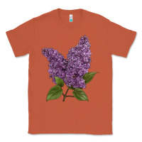 Copper Purple Lilac Flower Illustrations Classic Tee - LillyAllenDesigns