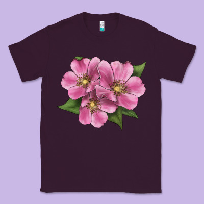 Wild Prairie Rose Illustrations Classic Tee Designed By Lillyallendesigns