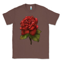 Chestnut Oklahoma Rose Illustrations Classic Tee - LillyAllenDesigns