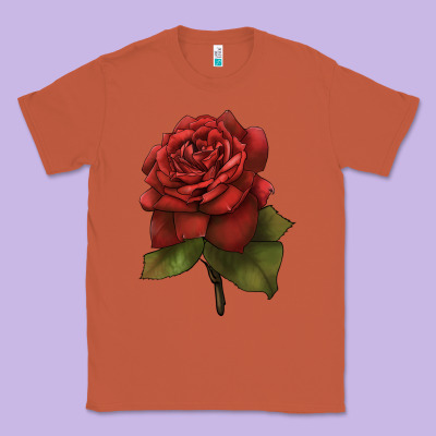 Oklahoma Rose Illustrations Classic Tee Designed By Lillyallendesigns
