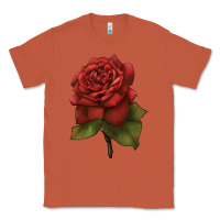 Copper Oklahoma Rose Illustrations Classic Tee - LillyAllenDesigns