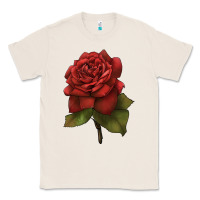 Natural Oklahoma Rose Illustrations Classic Tee - LillyAllenDesigns