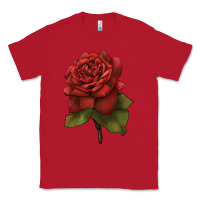 Red Oklahoma Rose Illustrations Classic Tee - LillyAllenDesigns
