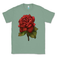 Sage Oklahoma Rose Illustrations Classic Tee - LillyAllenDesigns