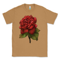 Toasted Coconut Oklahoma Rose Illustrations Classic Tee - LillyAllenDesigns