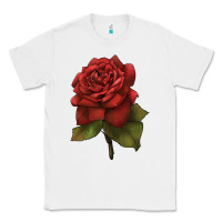White Oklahoma Rose Illustrations Classic Tee - LillyAllenDesigns