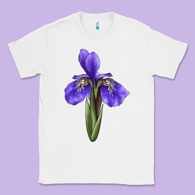 Iris Flower Illustrations Classic Tee Designed By Lillyallendesigns