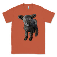Copper southdown baby sheep Classic Tee - LillyAllenDesigns