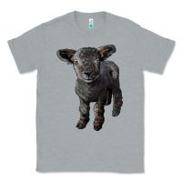 Heather Grey southdown baby sheep Classic Tee - LillyAllenDesigns