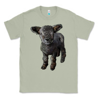 Matcha southdown baby sheep Classic Tee - LillyAllenDesigns