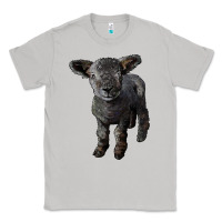 Moon Dust southdown baby sheep Classic Tee - LillyAllenDesigns