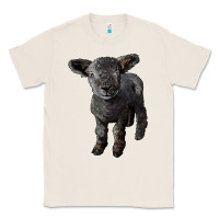 Natural southdown baby sheep Classic Tee - LillyAllenDesigns