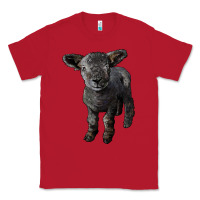 Red southdown baby sheep Classic Tee - LillyAllenDesigns