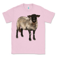 Bubblegum Pink suffolk ewe Classic Tee - BarkalooDesign