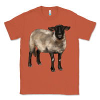 Copper suffolk ewe Classic Tee - BarkalooDesign