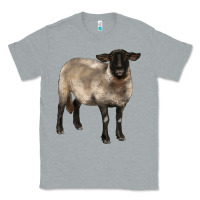 Heather Grey suffolk ewe Classic Tee - BarkalooDesign
