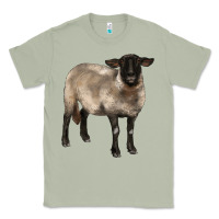Matcha suffolk ewe Classic Tee - BarkalooDesign