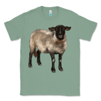 Sage suffolk ewe Classic Tee - BarkalooDesign