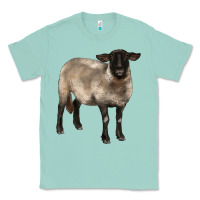 Seafoam suffolk ewe Classic Tee - BarkalooDesign