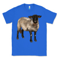 True Royal suffolk ewe Classic Tee - BarkalooDesign