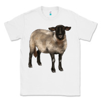 White suffolk ewe Classic Tee - BarkalooDesign