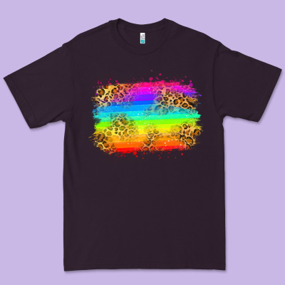 Pride Flag Premium Tee Designed By Zillion Design Studio