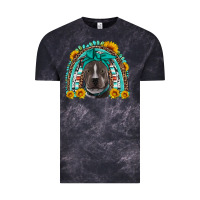 Cloud Black western pitbull rainbow Vintage Tee - Artiststas