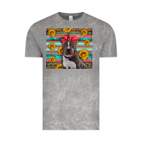 Cloud Rock western pitbull Vintage Tee - Artiststas