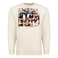 Sandshell Baseball American Dad Premium Sweatshirt - Bettercallsaul