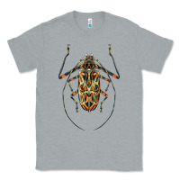 Heather Grey Acrocinus Beetle Illustrations Classic Tee - LillyAllenDesigns