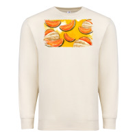 Sandshell Colorado Cantaloupe Background Premium Sweatshirt - Bettercallsaul