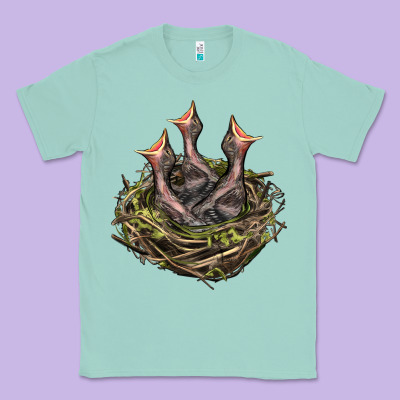 Bird Nest With Baby Birds Classic Tee Designed By Lillyallendesigns