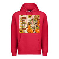Cardinal fall hay there pumpkin Premium Hoodie - texasbilliewilder