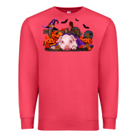 Cardinal Halloween Baby Pig Premium Sweatshirt - RanaPortraitStore