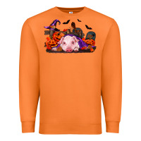 Carrot Halloween Baby Pig Premium Sweatshirt - RanaPortraitStore